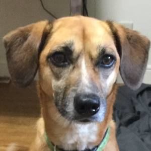 Meet your Posher, Carson